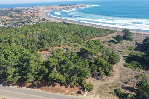 Desarrollo Inmobiliario Frente Al Mar En Punta De Lobos