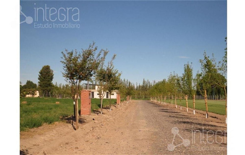 Imagen 6 de 9 de Terreno - General Roca