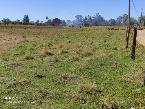 Imagem 5 de 9 de Chácara 2 Alqueires, Fácil Acesso, 3 Km Do Centro De Angatuba, Pasto - Ch00143 - 70038800