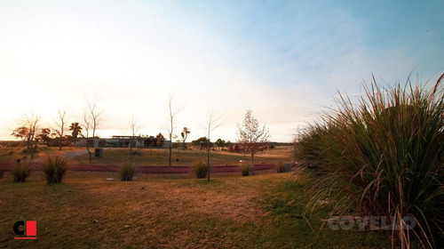Imagen 23 de 30 de Casa - El Golf