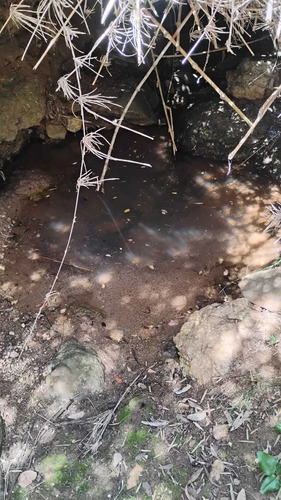 Amplio Terreno De 10,65 Hectáreas En Pichilem (177469)