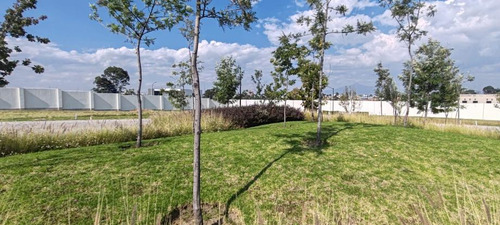 Terreno En Venta En Colonia Reserva Territorial Atlixcayotl, San Andrés Cholula, Puebla