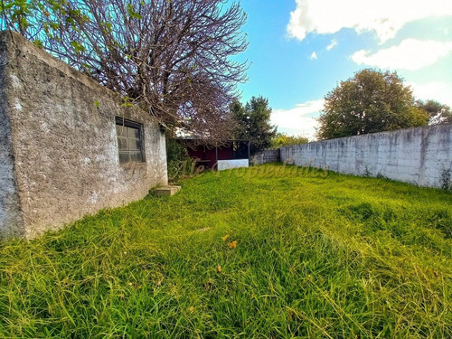 Imagen 13 de 17 de En Venta - Impecable Casa 3 Dorm 2 Baños