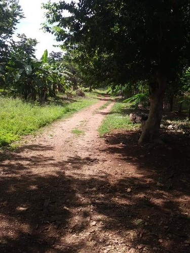 Imagen 10 de 15 de Rancho En Venta En Tunkas Yucatan