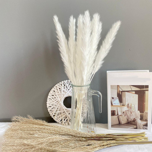 Mesa De Sala Grande, 60 Unidades, Pampa Dry Grass, Fra