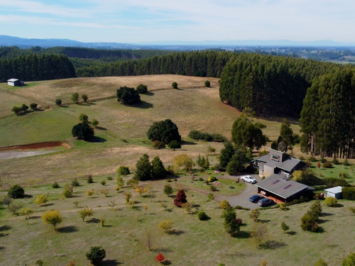 Imagen 20 de 30 de Campo Con Casa Talingotinto 10,5ha R. De Los Ríos