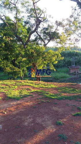 Imagem 13 de 13 de Chácara Em Piedade - 7135