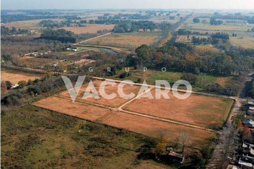 Imagen 1 de 7 de Lotes En Mercedes