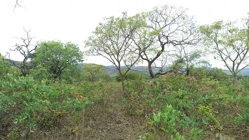Lote Para Comprar No Casa Branca Em Brumadinho/mg - 2031