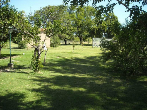 Imagen 9 de 20 de Zona Rural 100