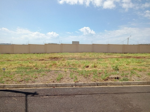Imagem 1 de 4 de Terreno - Te00245 - 69377089