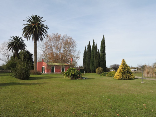 Imagen 13 de 17 de 3,6 Ha Casa Quinta En Veronica Con Galpon Y Local Comercial