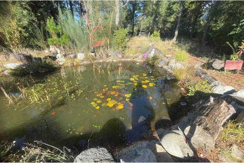 Arriendo Casa En Parcela Pucon