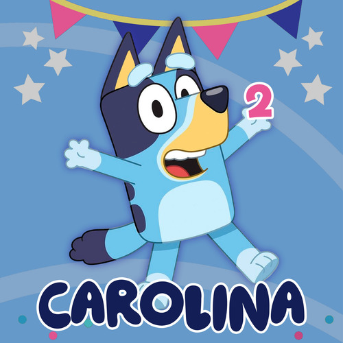 Lona 1 X 1 Metros Personalizada Fiesta Cumpleaños Personajes Bluey