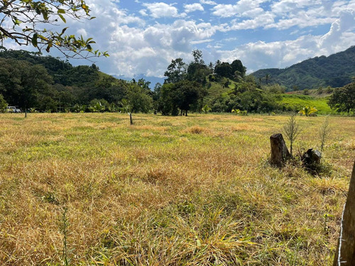 Imagen 25 de 30 de Espectacular Finca Clima Caliente En Venta Porce
