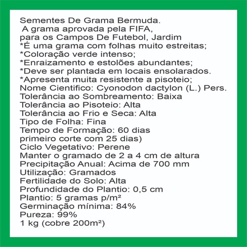 1000 Sementes De Grama Bermuda Campo De Futebol, Jardim