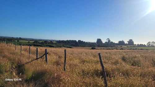 Vive En El Campo, Parcelas En Maullín. (73358)