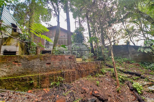 Imagem 22 de 30 de Terreno - Residencial - 147436
