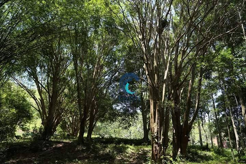 Imagem 12 de 17 de Fazenda Bom Sucesso, Sj Campos - Fa0001