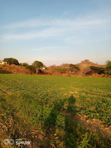 Imagen 16 de 28 de Finca En Venta En El Estado Guarico