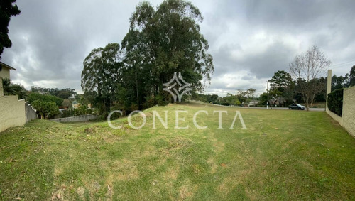 Imagem 2 de 4 de Terreno À Venda Tamboré 01 - Cnc1584