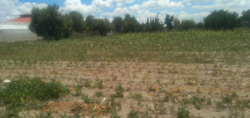 Imagen 4 de 5 de Terreno A 10 Min. Del Nuevo Aeropuerto De Santa Lucia.