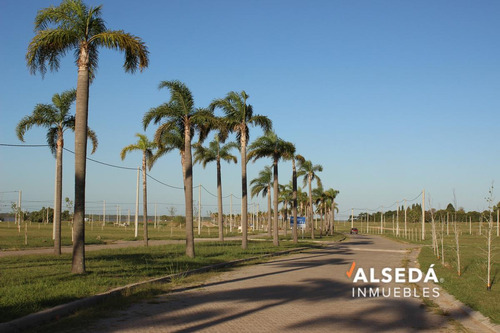 Terrenos En Venta - Tierra De Sueños: Ciudad Náutica, Arroyo Seco