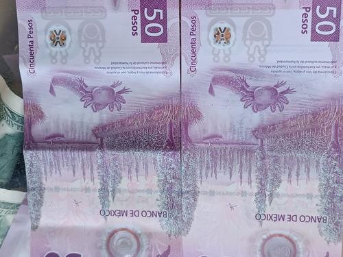 Billete Error De Impresión Ajolote