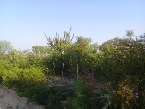 Imagen 10 de 11 de Excelente Campo En Venta, 1.800 Hectáreas Ganaderas, Depto Minas, Cordoba.