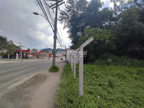Imagem 3 de 13 de Ótimo Terreno Comercial /residencial No Bairro Velha Central - 3052462v