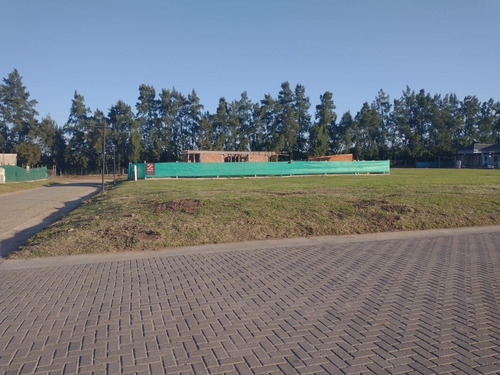 Imagen 3 de 7 de Terreno En Venta En Tafí Viejo