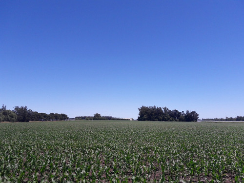 Imagen 2 de 5 de Venta - 5 Hectareas Con Excelente Ubicacion En Mar Del Plata -