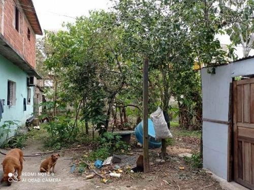 Chácara Na Praia Com 5 Dorm 1 Suíte E 15000m² 7882