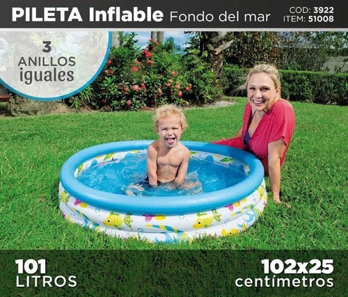 Imagen 3 de 6 de Bestway Pileta Inflable 3 Aros 102 X 25 Cm Jeg 51008 El Gato