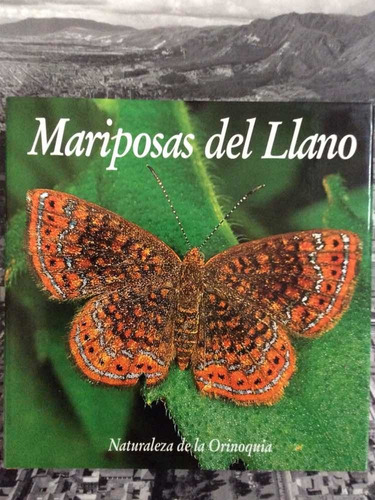Mariposas Del Llano - Naturaleza De La Orinoquia