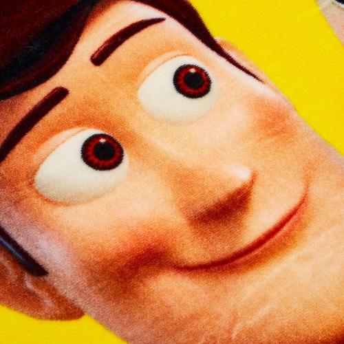 Cobertor Serenity Individual - Providencia Color Toy Story Amigos