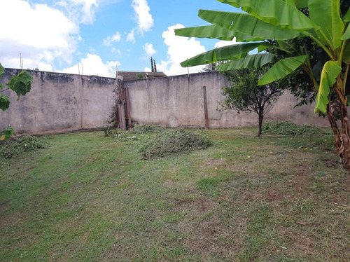 Imagem 4 de 25 de Terreno - Te00250 - 69413142