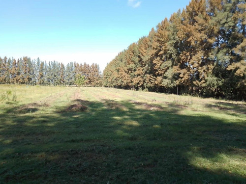 Imagen 8 de 14 de Hermoso Campo 10 Hectáreas En Cardales - Exaltación De La Cruz