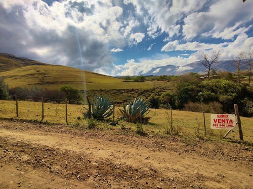 Imagen 7 de 9 de Venta Terreno 1000m2 La Loma De La Ovejeria Tafi Del Valle