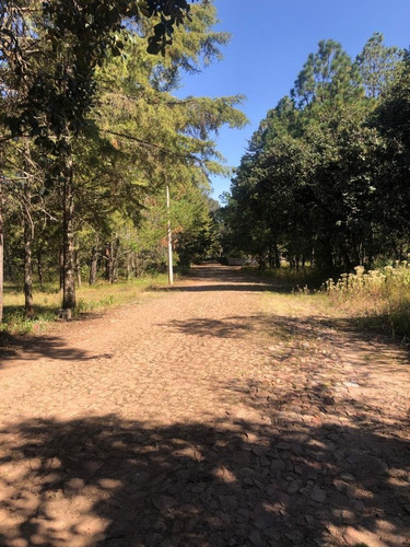 Imagen 5 de 12 de Venta De Terrenos En Amealco De Bonfil, Querétaro