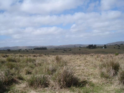 Campo En Venta En Las Cañas