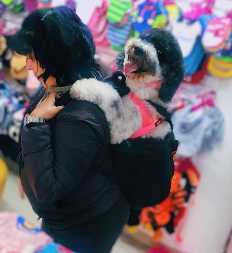 Cargador Canguro Morral Para Mascotas - Perros