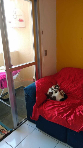 Imagem 9 de 22 de Apartamento Em São Paulo - Sp - Ap0134_slima