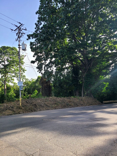 En Venta Terreno De 1243mts, Excelente VĂas De Acceso, Zona Residencial Ubicado En Urb. Colinas De Guataparo, Valencia