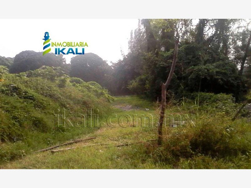 Imagen 7 de 12 de Terreno En Venta Tulipanes