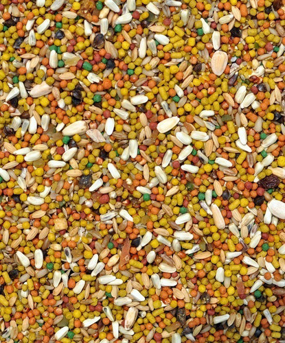 Imagem 2 de 2 de Ração Oleosa Trinca-ferro E Pássaro Preto - 500g Premium