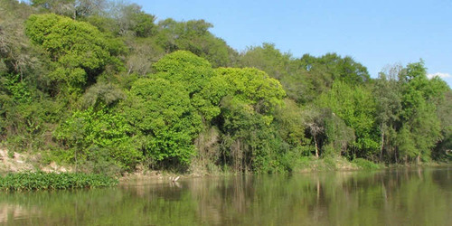 Lote En Isla Parana De Las Palmas Y Vinculación Tigre Delta