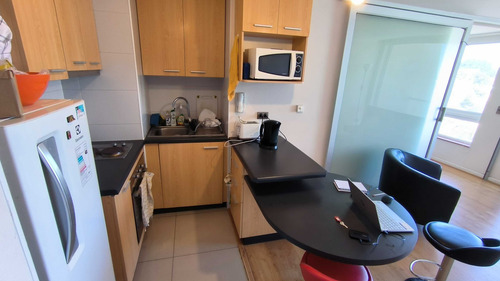 Amoblado Parque Urbano 1 Dormitorio (22866)