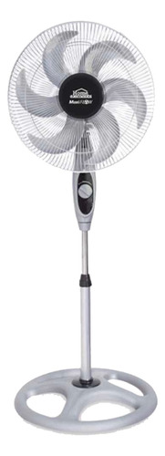 Ventilador De Pie Home Elements Hemfp18p, Estructura Gris, 6