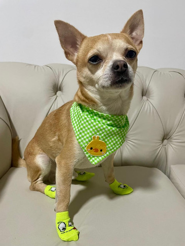 Medias Para Perros Estilo Marinero Azul Con Antideslizante